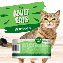 Earthborn Holistic Chicken Catcciatori bowl serve shows gravy meal idea for cats.