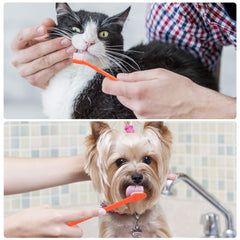 EASYA soft bristles on a pet toothbrush for gentle cleaning