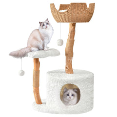 Easyego modern cat tree assembly shows sturdy pear wood for lasting use.