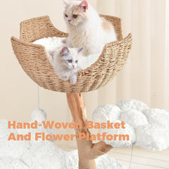 Easyego Modern Cat Tree cat condo delivers private nest and safe resting spots