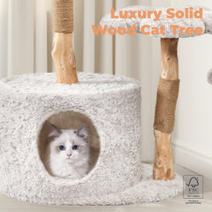 Easyego cat tree flower platform offers elevated perch for playful cats