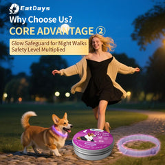 EatDays calming collar shown during fireworks scene suggesting potential anxiety reduction.