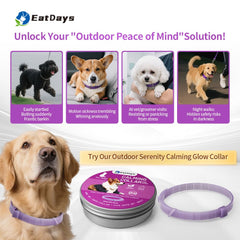EatDays calming collar worn by dog during travel scene for stress relief.