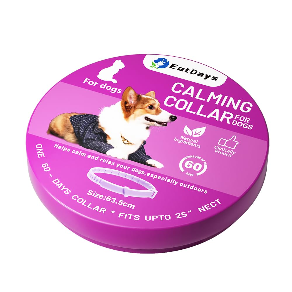 EatDays fluorescent collar glows at night for safer dog walks.
