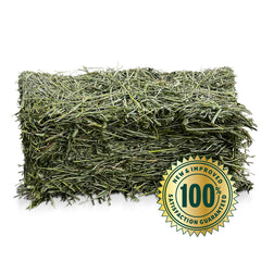 Eaton Pet and Pasture orchard grass blend adds varied textures for enrichment.