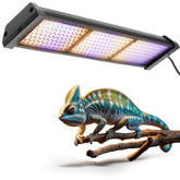 Eckpo Dimmable LED Reptile UVB lamp, overhead view, demonstrates UVB coverage for reptile health.