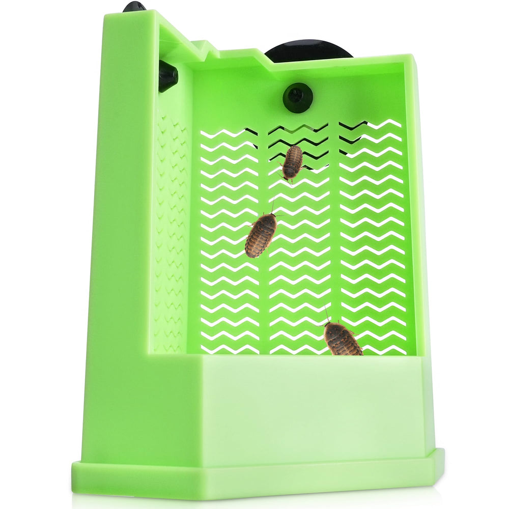 Eckpo Reptile Corner Hunting Bowl with glass mount green promotes hunting behavior.