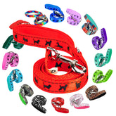 EcoBark dog leash soft padded handle orange for comfortable daily walks