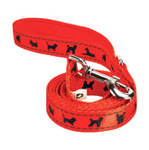 EcoBark orange dog leash with padded handle for comfortable daily walks.