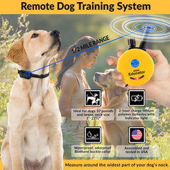 Educator Biothane collar, waterproof and durable for all-day wear and outdoor activities