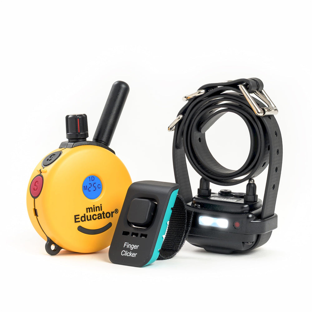 Educator E-Collar remote transmitter for convenient handheld training at home or outdoors