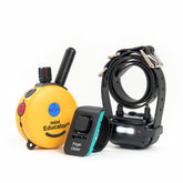 Educator E-Collar remote transmitter for convenient handheld training at home or outdoors