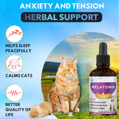 EDUZEBRA cat relaxed on cushion illustrates peaceful lounging with gentle supplementation.