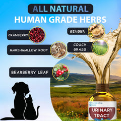 EDUZEBRA cranberry extract focus suggests urinary environment support.