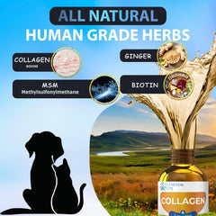 EDUZEBRA ginger-infused formula promotes digestion and overall wellness.