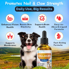 EDUZEBRA liquid collagen for dogs and cats supports joint mobility and comfort.