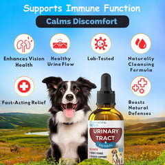 EDUZEBRA drops served with pets, promoting daily bladder and kidney support.