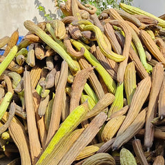 EFYUE small-animal chew in-use for enrichment