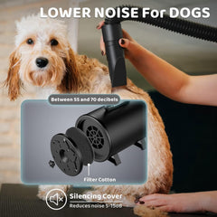 EGFKI Dog-Hair-Dryer in action on a dog demonstrates efficient drying and coat smoothing