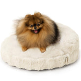 EHEYCIGA extra-small dog bed with foam-softness supports comfy naps