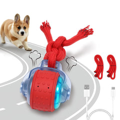 EHWZ Interactive Dogs Ball rolling action supports active play.