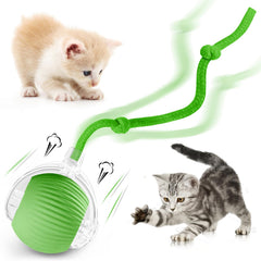 Eiruseed interactive cat ball green front-view shows engaging indoor play.