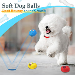 Eisoco squeaky ball orange face—adds bounce and excitement for outdoor play