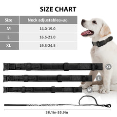 Eitchen Tactical leash extend demonstrates elastic buffer for quick direction changes
