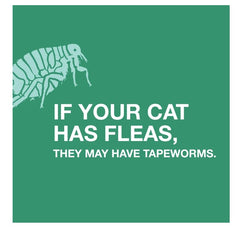 Elanco Tapeworm Dewormer tablets in a food dish illustrating easy mixing with meals.