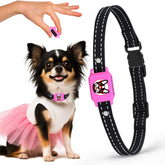 ELECANE bark collar pink close-up shows compact, comfortable fit for small dogs