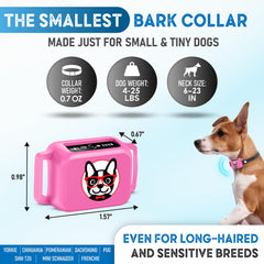 ELECANE bark collar pink on-dog demonstrates subtle training in everyday walks