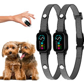 ELECANE bark collar on a small dog neck for comfortable daily training.