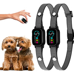ELECANE bark collar on a small dog neck for comfortable daily training.