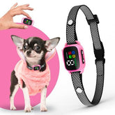 ELECANE tiny-bark-collar-pink worn by small-dog for gentle training