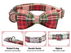 Elegant little tail bow-dog-collar closeup shows adjustable strap and secure bow attachment.
