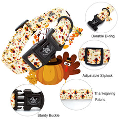 Elegant Little Tail dog collar with bowtie adds cute charm for special occasions.