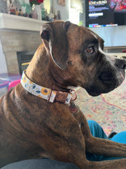 Elegant little tail sunflower collar buckle detail highlights sturdy hardware for daily use.