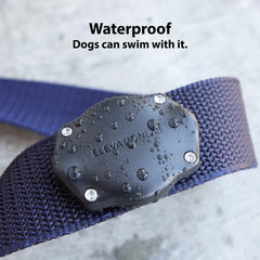 Elevation Lab TagVault IP69 waterproof design lets dogs swim with AirTag.