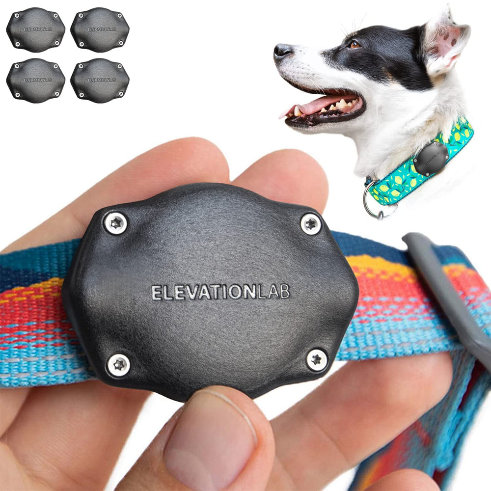 Elevation Lab TagVault securely attaches AirTag to a dog collar for a clean look.