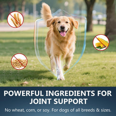 ELEVTC Glucosamine for Dogs turmeric hyaluronic acid blend