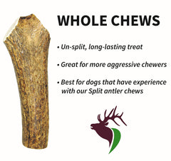 Elkhorn Premium Chews size guide for suitable fit with 50-90 lb dogs.