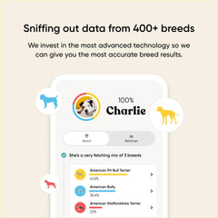Embark Breed Kit swab in hand for easy at-home DNA sampling.