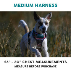 Embark Pets Adventure Harness gel-lined handle enhances control during outdoor walks