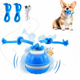 emeqzoa P06 dog ball rolling entertains dogs with dynamic motion for active play.