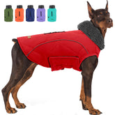 EMUST dog winter jacket front view shows warm, snug fit for daily walks