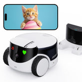 Enabot EBO ROLA PetPal camera view delivers crisp 2.5K feed for vigilant pet monitoring.