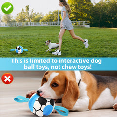 Eneston high bounce ball designed for energetic chases