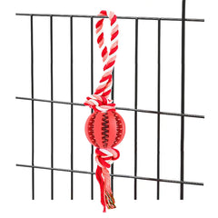 Engorgio Interactive Dog Chew Toy rope setup with 31.5-inch cord for crate training