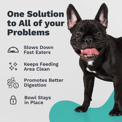 Enhanced Pet Bowl durable anti-slip base keeps the bowl steady during feeding