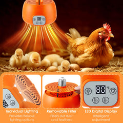 Enhon chicken coop heater with circulation fan highlights gentle airflow for stable temps.